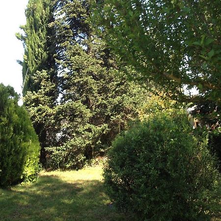 Вилла Il Belvedere Di Roccavo Кастильон-Фьорентино Экстерьер фото