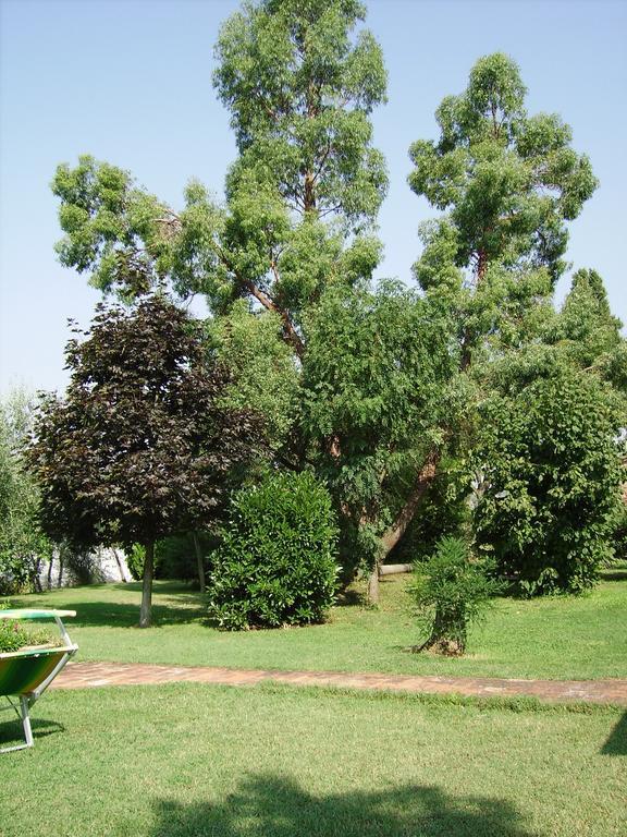 Вилла Il Belvedere Di Roccavo Кастильон-Фьорентино Экстерьер фото